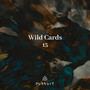 Wild Cards 13