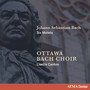 J.S. Bach: Singet dem Herrn ein neues Lied, BWV 225: Singet dem Herrn ein neues Lied (Chor)