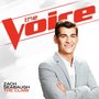 Take Your Time (The Voice Performance)