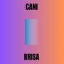 BRISA