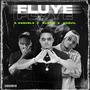 Fluye (feat. Haquil & D'anghelo) [Explicit]