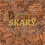 SKARY (feat. Zeydax)