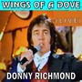 Wings of a Dove (Live)