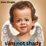 Slim Not Shady (Explicit)