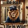 Life is Wild (Explicit)