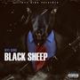 Black Sheep (Explicit)