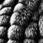 CHINCHILLA