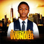 Awesome Wonder