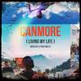 CANMORE (Explicit)