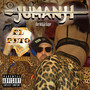 Jumanji - The Brickstape (Explicit)