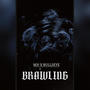 BRAWLING! (feat. Bullseye and M3!) [Explicit]