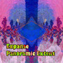 Panoramic Extent Shorty 1
