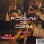 Picadura de cobra