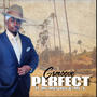 Perfect (feat. Ms. Melodee & Mr. S)