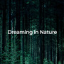 Dreaming in Nature: Relax and Unwind