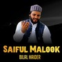 Saiful Malook