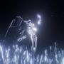 xEgoist (Explicit)
