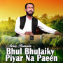 Bhul Bhulaiky Piyar Na Paeen