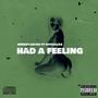 Had a feeling (feat. NewkeyJay400) [Explicit]