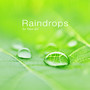 Raindrops