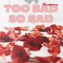 too bad so sad (Explicit)