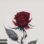 ROSE (Explicit)