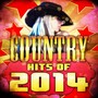 Country Hits of 2014