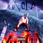 Jungla (Special Version) [Explicit]
