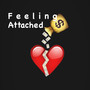 Feelings Attached (Explicit)