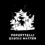 Exotic Matter