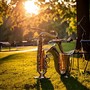 Jazz in the Park: Afternoon Music Vibes