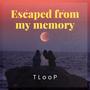 Escaped from my memory