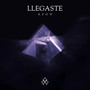 Llegaste