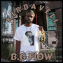 Bg Flow (Explicit)