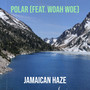 Polar (Explicit)