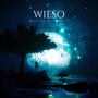 Wieso (feat. NX68) [Explicit]