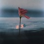 Flowerbed (S Carey Remix)