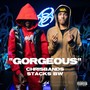 Gorgeous (Explicit)