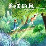 追夏天的风