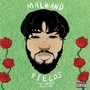 Fields (Explicit)