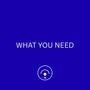 WHAT YOU NEED (Explicit)