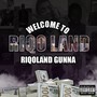 Welcome to Riqoland