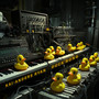 Duck Song