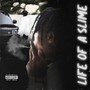 Life Of A Slime (Explicit)