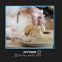 CATFOOD
