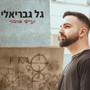 תזייפי אהבה (קאבר)