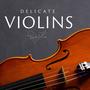 Delicate Violins