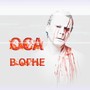 В огне