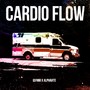 CARDIO FLOW (Explicit)