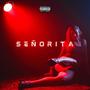 Señorita (feat. D Maeja) [Explicit]